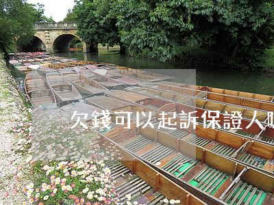 欠錢可以起訴保證人嗎