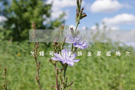 欠錢可以起訴全家還嗎(欠錢可以告他嗎)