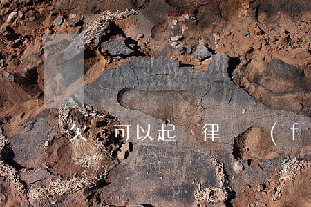欠錢可以起訴律師費(fèi)嗎