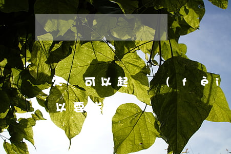 欠錢可以起訴費(fèi)用嗎 欠錢起訴可以要求賠償嗎
