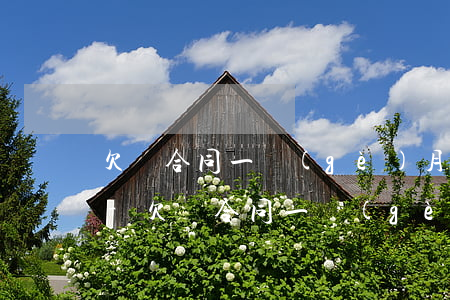 欠錢合同一個(gè)月到期多久可以起訴-欠錢合同一個(gè)月到期多久可以起訴對(duì)方