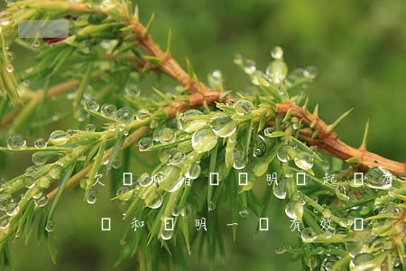 欠錢和借錢證明條起訴有區(qū)別嗎(欠條和證明一樣有效嗎)
