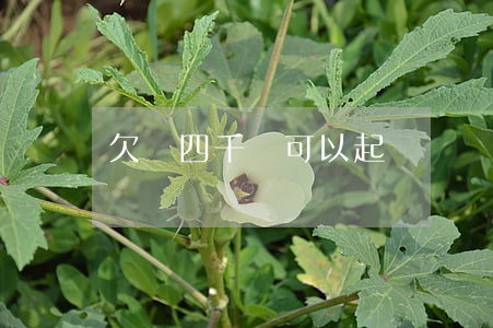 欠錢四千塊可以起訴嗎