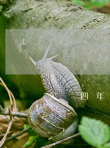 欠錢四年了可以起訴嗎(欠錢四年會怎么樣)