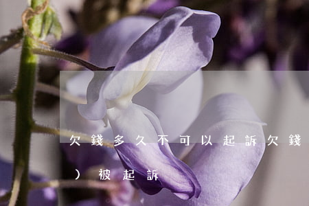 欠錢多久不可以起訴(欠錢多久才會(huì)被起訴)
