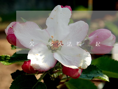 欠錢多久法院會起訴-欠錢多久法院會起訴