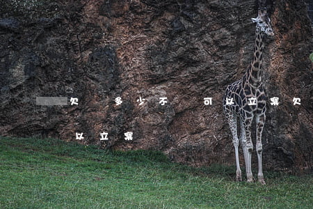 欠錢多少不還可以立案(欠錢不還超過多少可以立案)