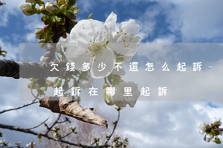 欠錢多少不還怎么起訴-欠錢多少不還怎么起訴在哪里起訴