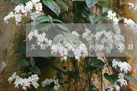 欠錢多少可以判坐牢(欠錢要坐牢嗎?)