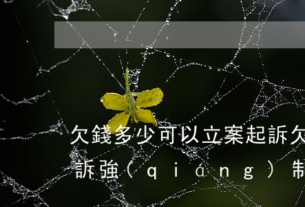 欠錢多少可以立案起訴(欠錢多少可以立案起訴強(qiáng)制執(zhí)行)