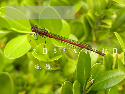 欠錢多少在哪里起訴 欠錢多少可以立案起訴流程