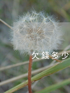 欠錢多少年可以起訴(欠錢多少年起訴有效)