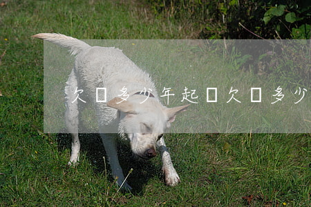 欠錢多少年起訴(欠錢多少年起訴有效)