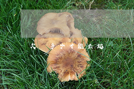 欠錢多少才能去起訴