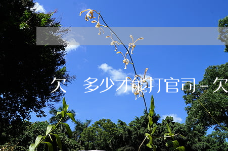 欠錢多少才能打官司-欠錢多少能夠起訴