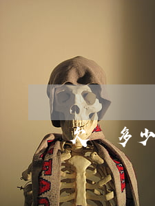 欠錢多少法院可以起訴(欠多少錢能去法院起訴)