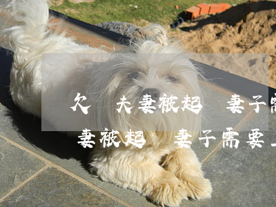 欠錢夫妻被起訴妻子需要上法庭嗎-欠錢夫妻被起訴妻子需要上法庭嗎知乎