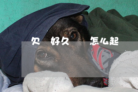 欠錢好久沒還怎么起訴