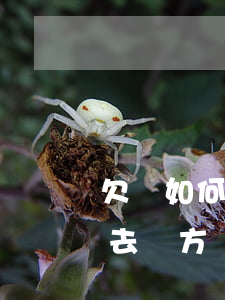 欠錢如何去戶籍地起訴-告對方欠錢不還要去對方戶籍所在地法院?