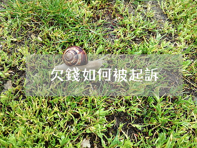 欠錢如何被起訴
