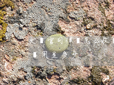 欠錢官司律師怎么收費的(欠款打官司律師的費用是多少)