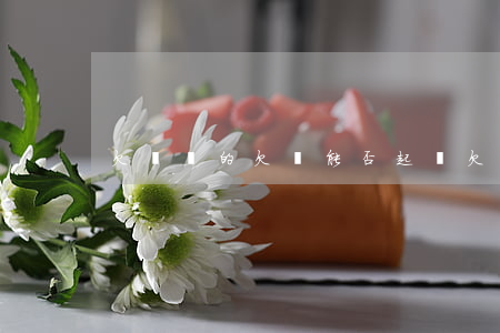 欠錢寫的欠條能否起訴(欠錢寫的欠條有用嗎)