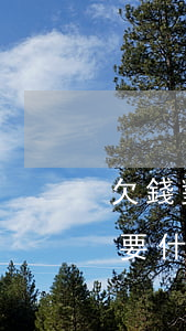 欠錢對方起訴了-欠錢對方起訴了把錢還了要什么手續(xù)
