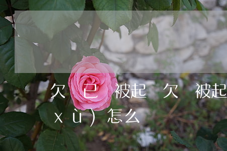 欠錢已還被起訴(欠錢被起訴了還了錢后續(xù)怎么辦)