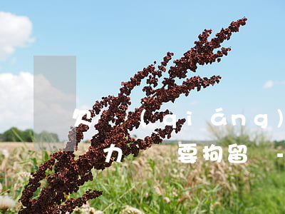 欠錢強(qiáng)制執(zhí)行后無力償還要拘留嗎-欠錢強(qiáng)制執(zhí)行后無力償還要拘留嗎多久