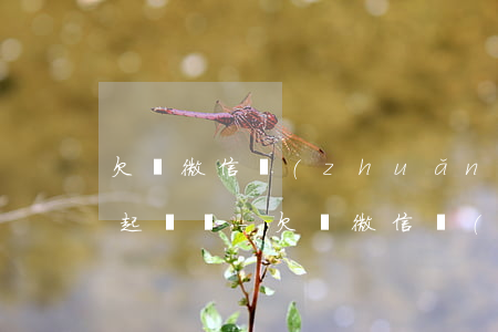 欠錢微信轉(zhuǎn)賬聊天記錄可以起訴嗎-欠錢微信轉(zhuǎn)賬聊天記錄可以起訴嗎有效嗎