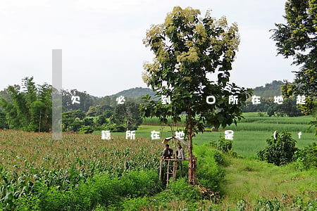 欠錢必須到戶口所在地起訴嗎(欠錢不還是去戶籍所在地還是發(fā)生地)