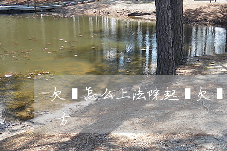 欠錢怎么上法院起訴(欠錢怎么上法院起訴對方)