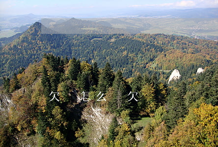 欠錢怎么寫欠條
