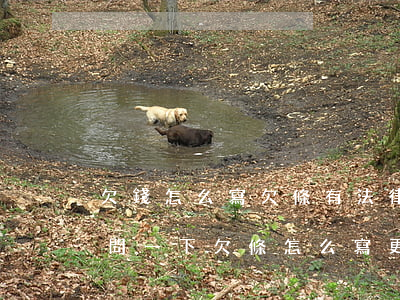 欠錢怎么寫欠條有法律效益(請(qǐng)問一下欠條怎么寫更有法律效果)