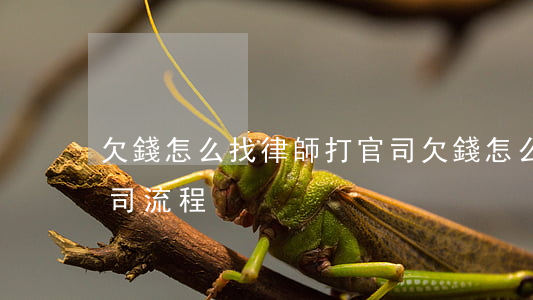 欠錢怎么找律師打官司(欠錢怎么找律師打官司流程)