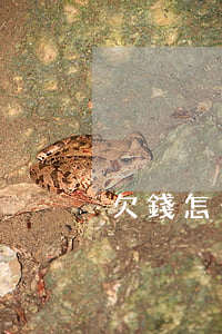 欠錢怎么樣提起訴訟(欠錢怎么樣提起訴訟呢)