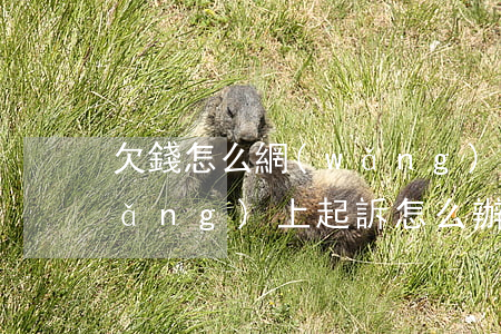 欠錢怎么網(wǎng)上訴訟(欠款網(wǎng)上起訴怎么辦理流程)