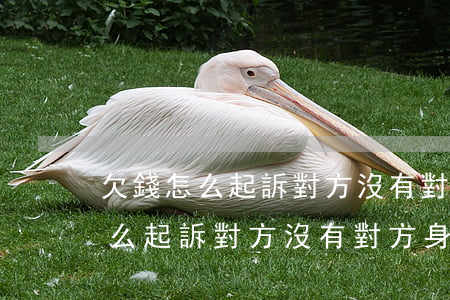 欠錢怎么起訴對方沒有對方身份證-欠錢怎么起訴對方沒有對方身份證號碼