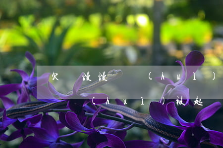 欠錢慢慢還會(huì)被起訴嗎(欠錢慢慢還會(huì)被起訴嗎)