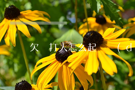 欠錢打人怎么起訴對(duì)方