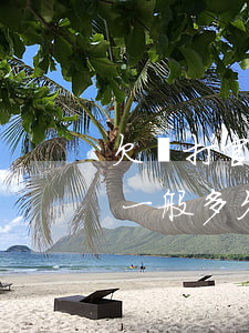 欠錢打官司多久執(zhí)行(欠債打官司一般多久結(jié)案)