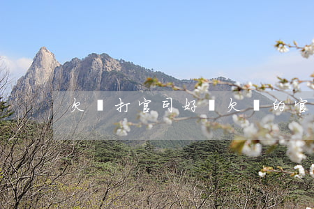 欠錢打官司好嗎(欠錢的官司好打嗎)