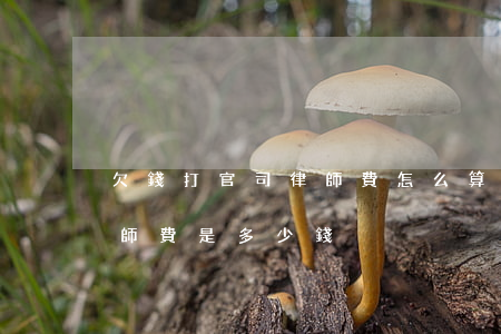 欠錢打官司律師費怎么算-打欠錢的官司律師費是多少錢