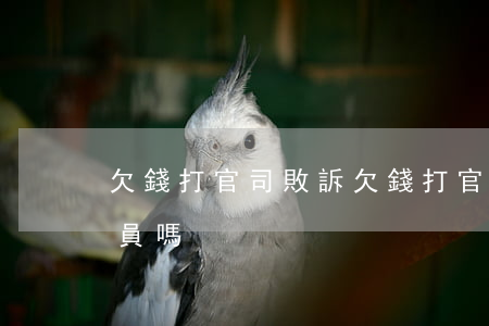 欠錢打官司敗訴(欠錢打官司敗訴可以考公務員嗎)