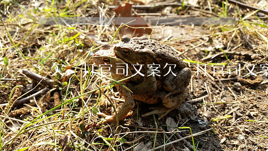 欠錢打官司文案(欠錢打官司文案短句)