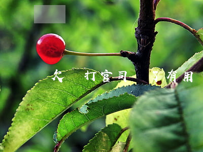 欠錢打官司贏了有用嗎(欠錢打官司能要回來嗎)
