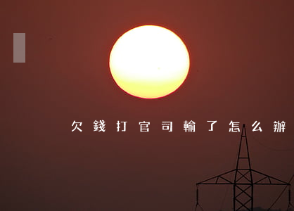 欠錢打官司輸了怎么辦(欠錢官司輸了沒錢還)
