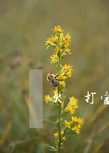 欠錢打官司金額(欠錢官司多少錢)