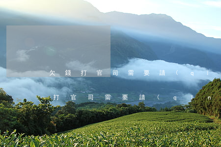 欠錢打官司需要請(qǐng)律師-欠錢打官司需要請(qǐng)律師嘛