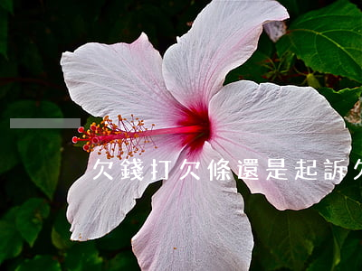 欠錢打欠條還是起訴(欠錢打借條還是欠條)